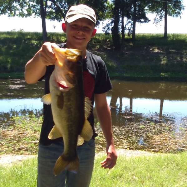 A photo of LLCFISHERKID's catch