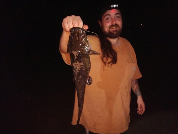 A photo of zackattack11's catch