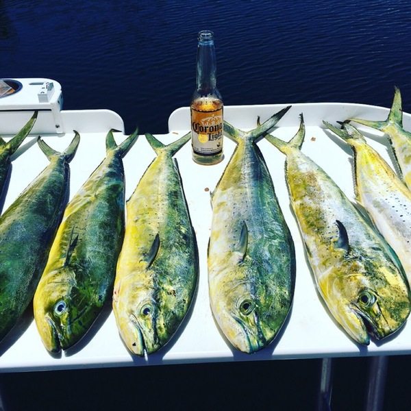 A photo of Chris Morris's catch