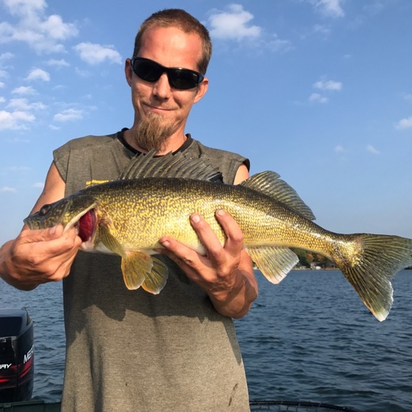 Caught a Walleye on Big Cormorant Lake