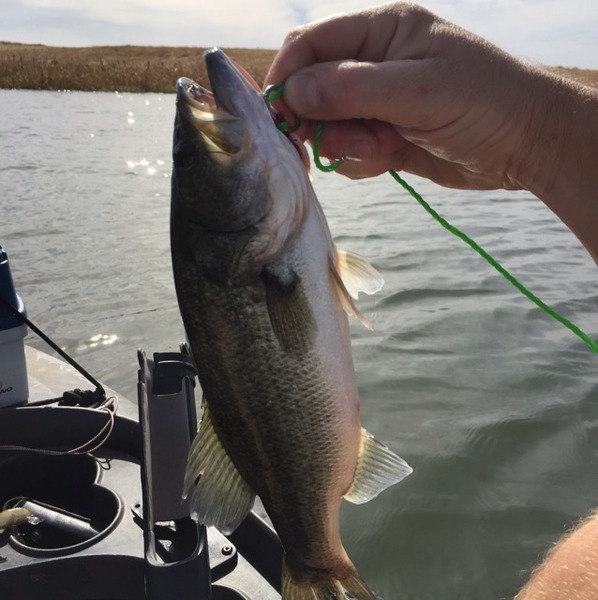 Woodward Park Fishing Map Woodward Reservoir Ca Fishing Reports, Map & Hot Spots