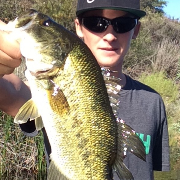 ᐅ Lower Otay Reservoir fishing reports🎣• Chula Vista, CA (United States)  fishing