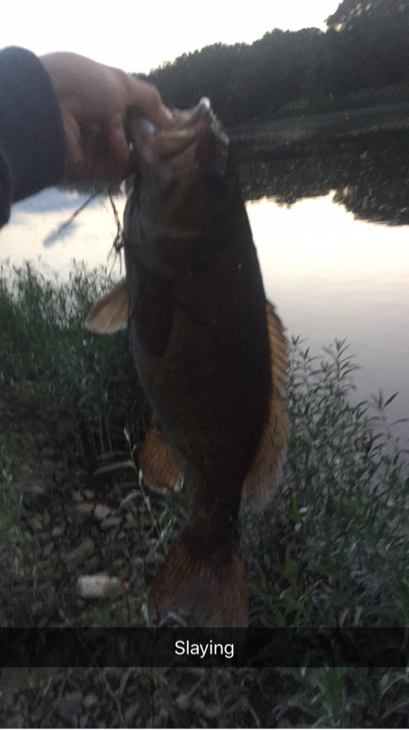 A photo of Gregory Steo's catch