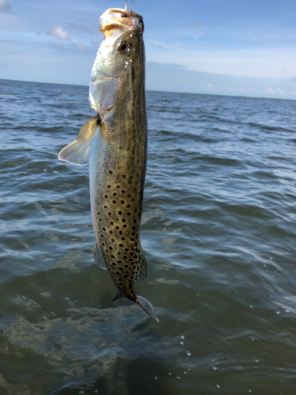 A photo of Eric Shults's catch