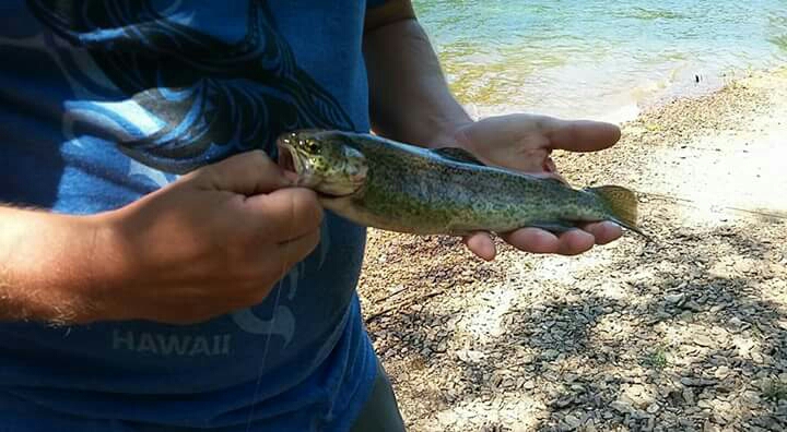 A photo of Robert Winecoff's catch