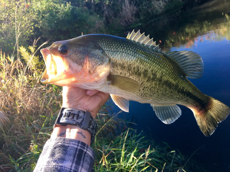 A photo of Joan Aalberts 's catch