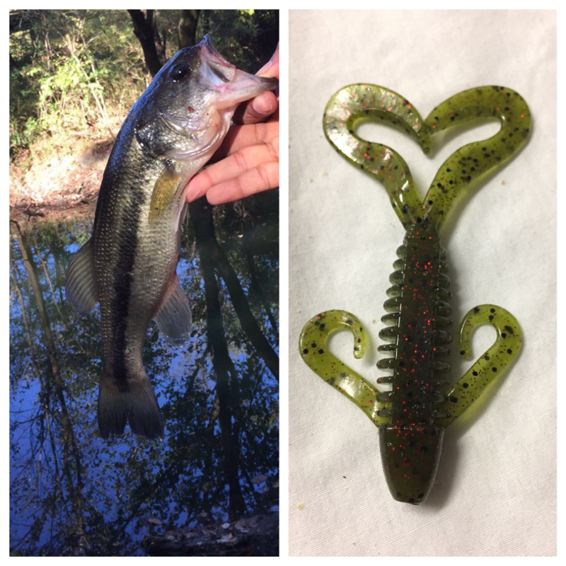 A photo of Chefd93 .'s catch