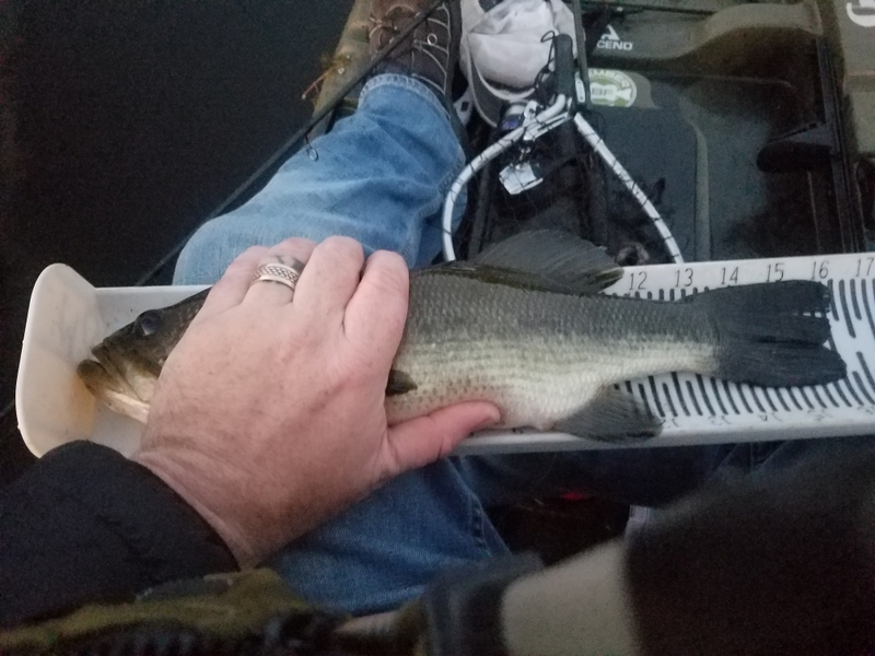 A photo of Paul Walter's catch