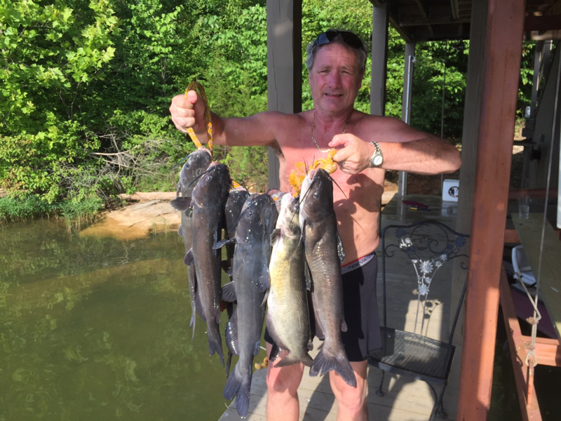 Little Bear Creek Reservoir AL Fishing Reports, Maps & Hot Spots