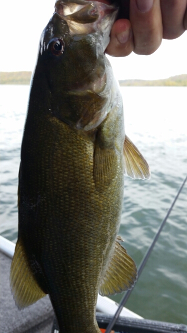 A photo of Michael Caldwell's catch