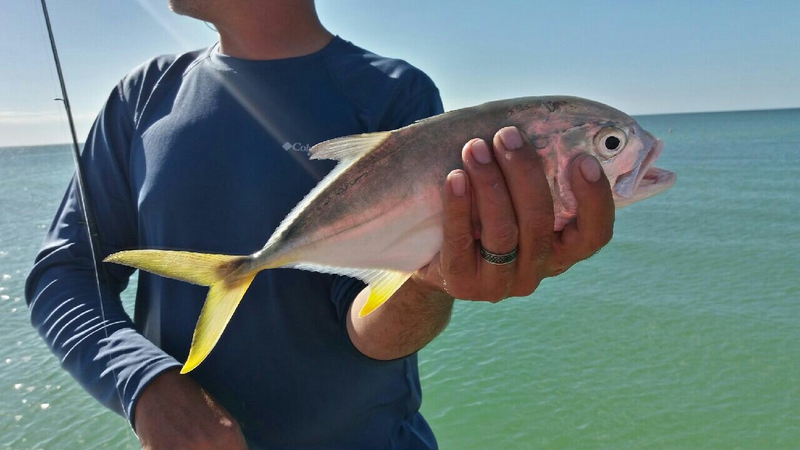 A photo of Stephen  Graffam 's catch