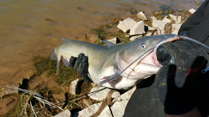 A photo of Christopher Wallace's catch