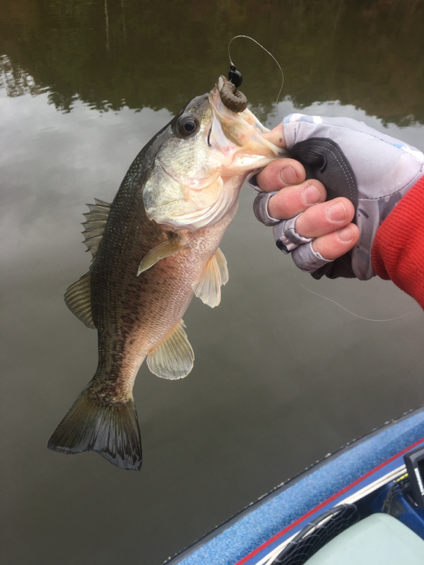 A photo of Justin Strickland's catch