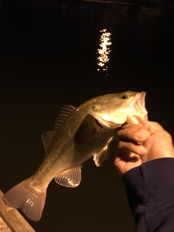A photo of Jacorey Smith's catch