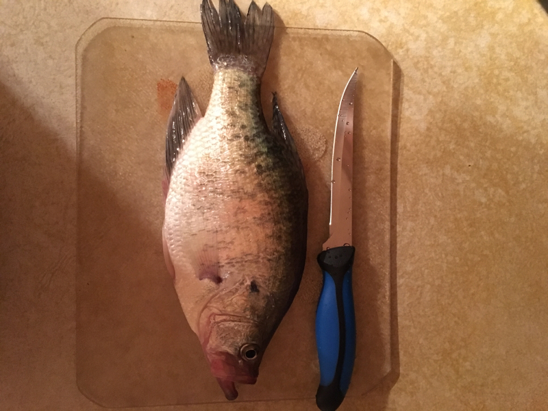 A photo of Jacorey Smith's catch