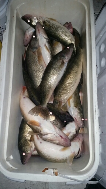 A photo of Scott Grzymkowski's catch