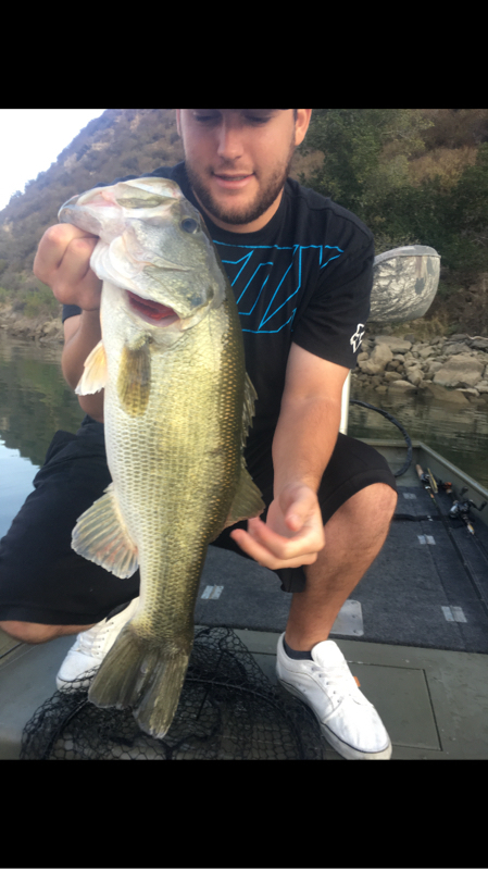 A photo of Champion's catch