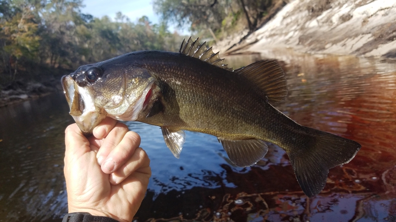 A photo of Tonya  Bethune 's catch