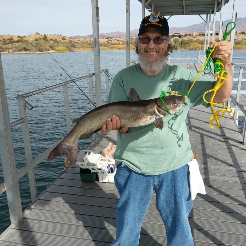 Lake Havasu AZ Fishing Reports, Map & Hot Spots