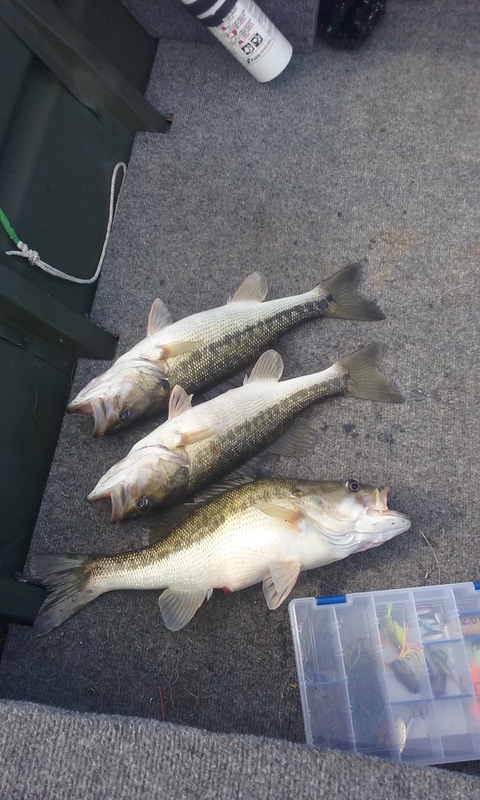 A photo of F FC's catch