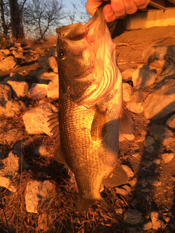 Lake Ray Hubbard TX Fishing Reports, Map & Hot Spots