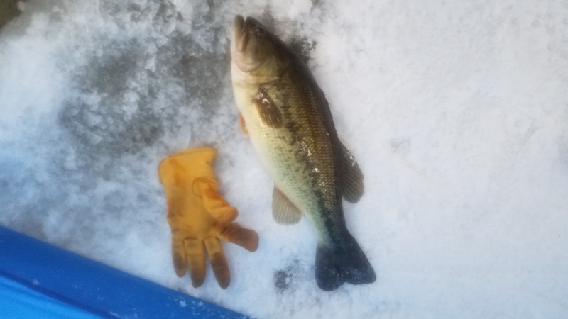 A photo of SCOTT  gleave's catch