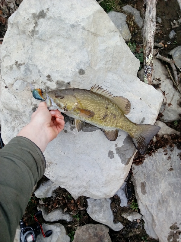 A photo of Alex Howe's catch