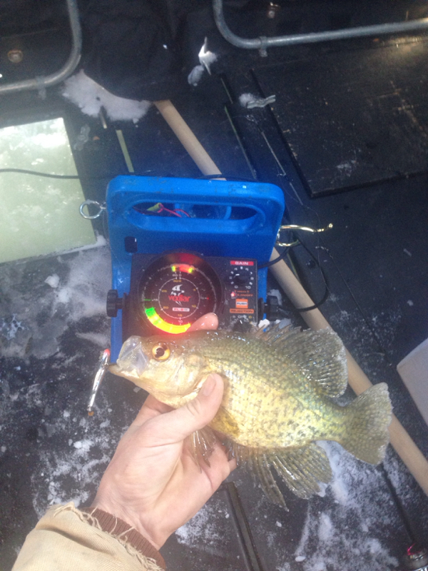 A photo of Kenny  Francis 's catch