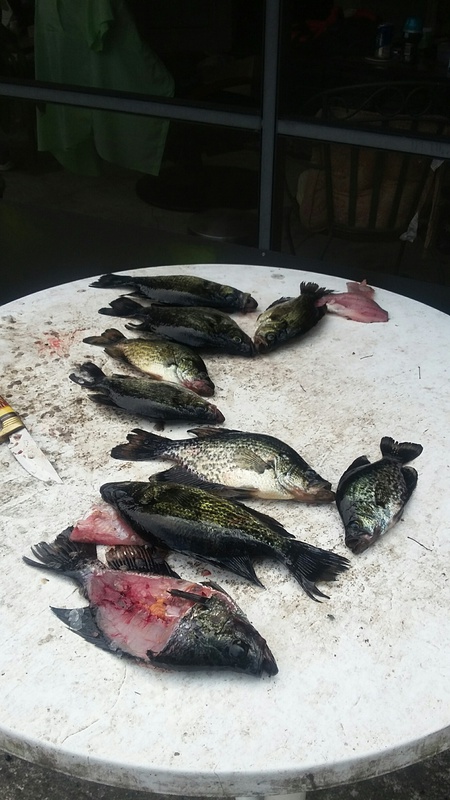 A photo of Ronald Howell's catch