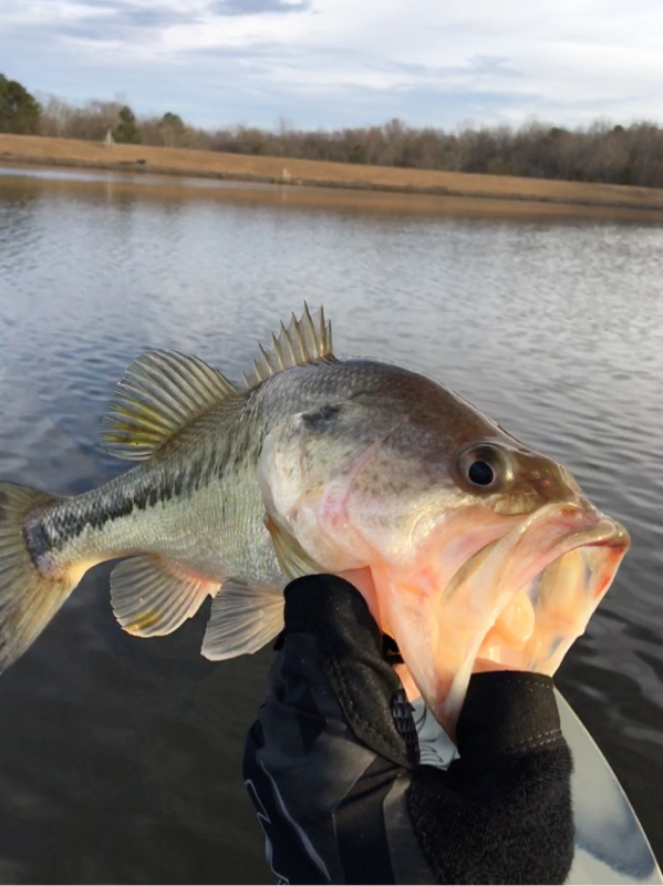 A photo of Eric Packard 's catch