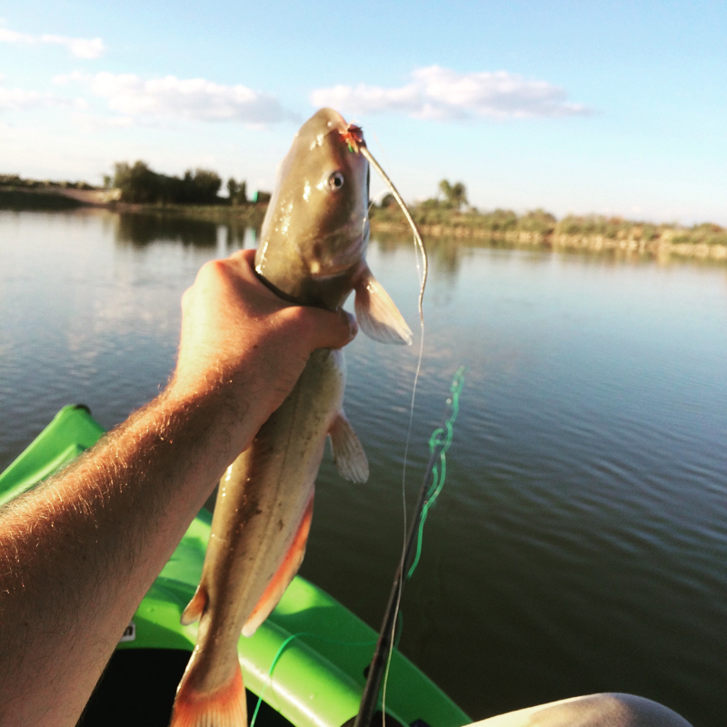 A photo of Blake Rothlisberger's catch