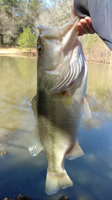 A photo of Geoffrey Rogers's catch