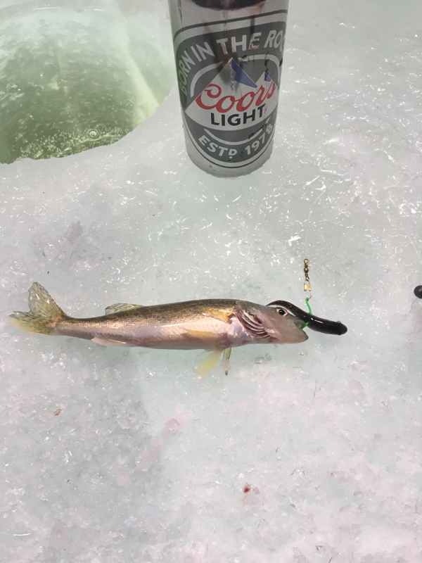 A photo of Tyler Krpan's catch