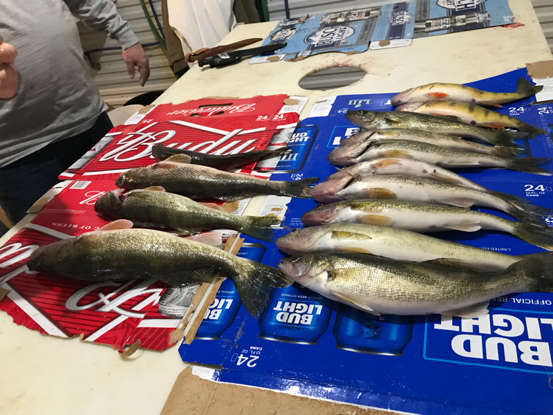 A photo of Dylan Stanley's catch