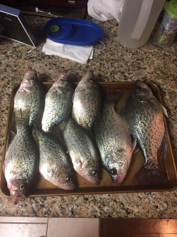 A photo of Ron Wrigley 's catch