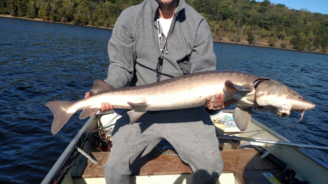 A photo of Christian Berberich's catch