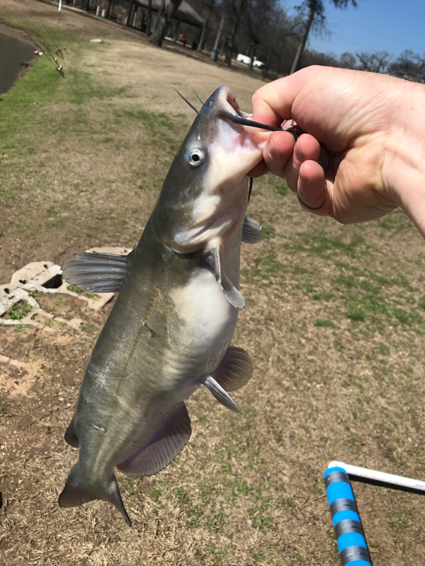 A photo of Joe Glassey's catch
