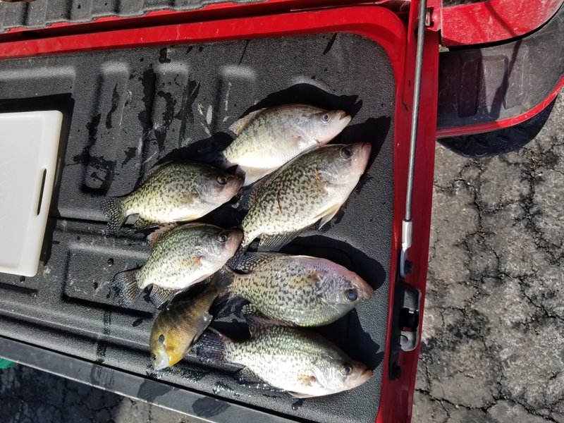 A photo of Terry  Ryder 's catch