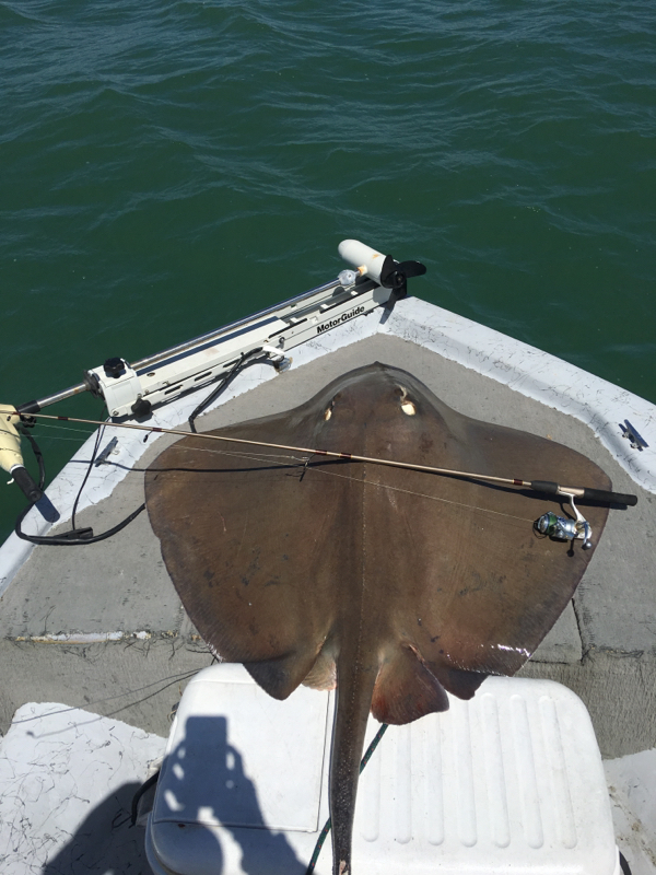 A photo of Richard Falor's catch