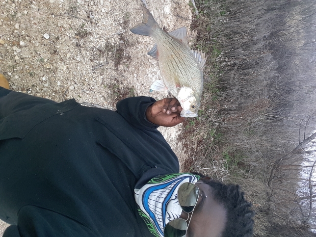 A photo of cliche bunch's catch