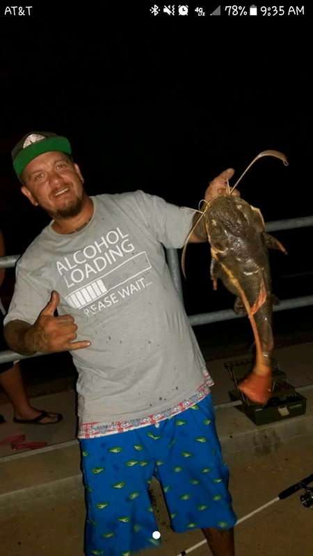 A photo of Bass Sniffer 's catch