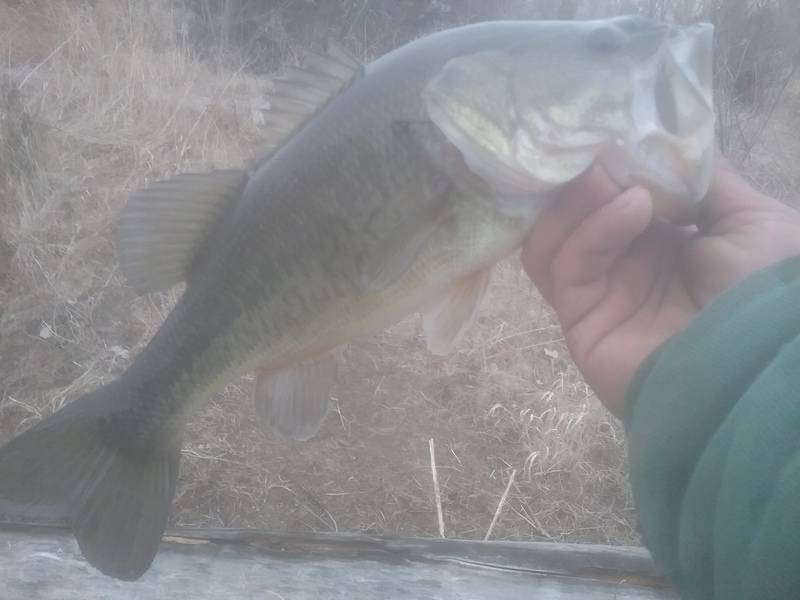 A photo of Jonny Russell's catch