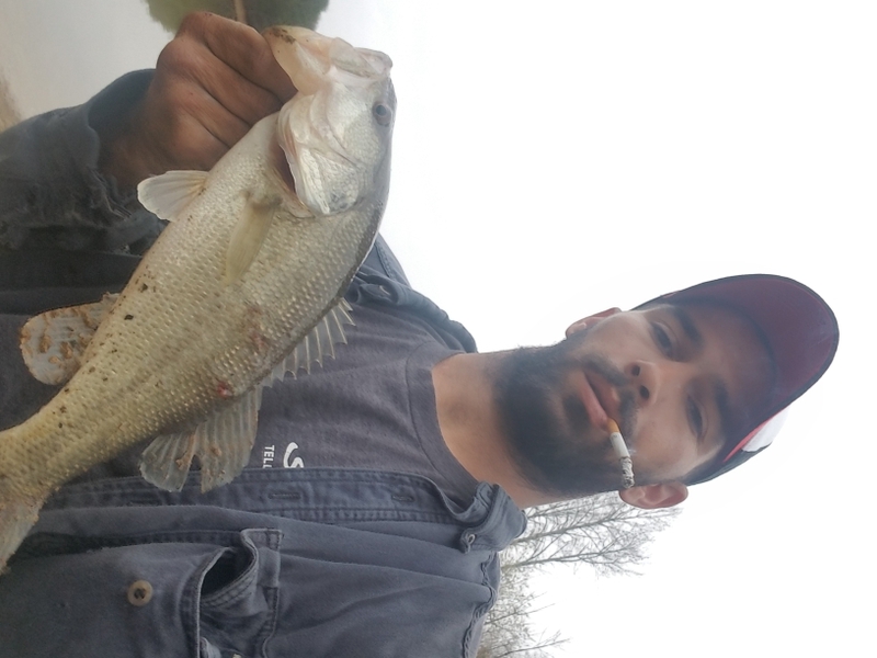 A photo of Dustin  Harris 's catch