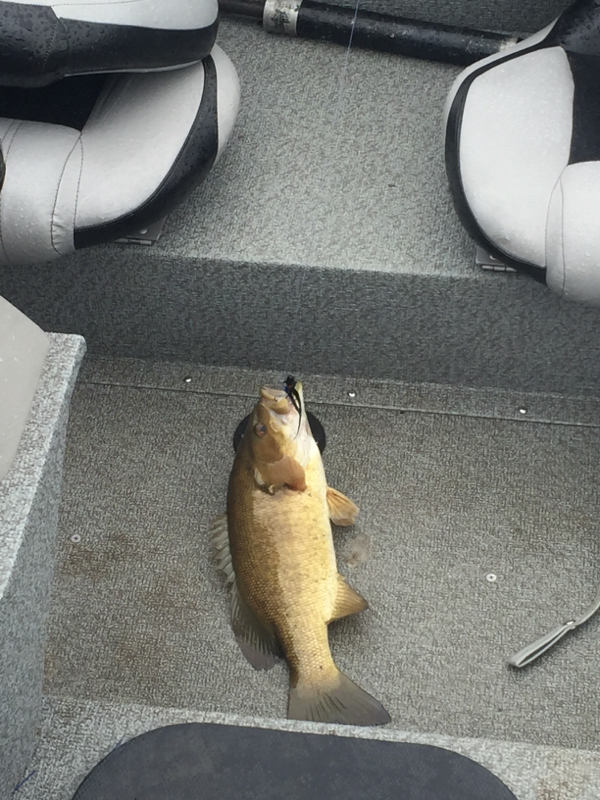 A photo of Jim Smith's catch