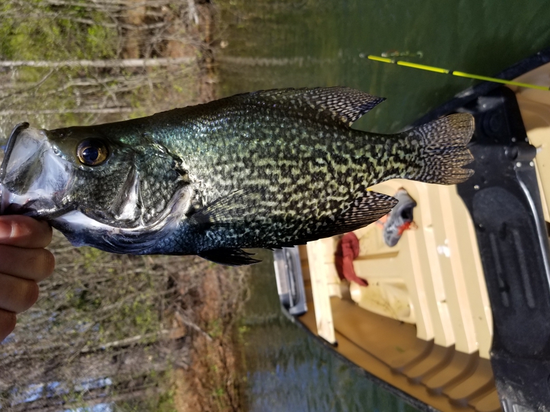A photo of bradley p's catch