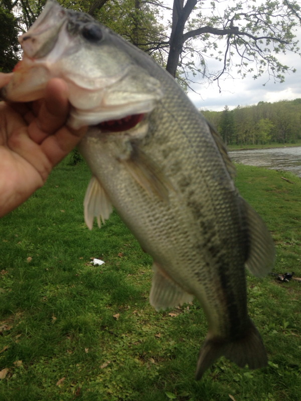 A photo of Eduardo Torres's catch
