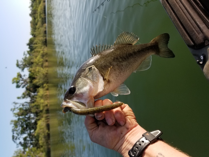 A photo of Kenneth Loveday's catch