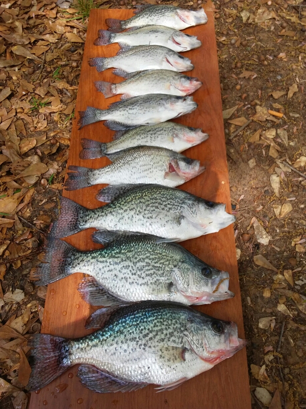 A photo of Dave Jennings's catch