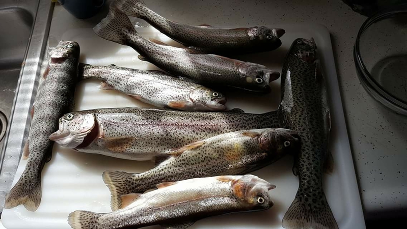 A photo of Joe K.'s catch