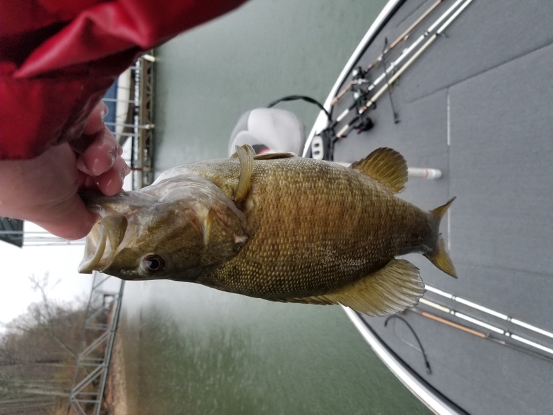A photo of Scott Spriggs's catch